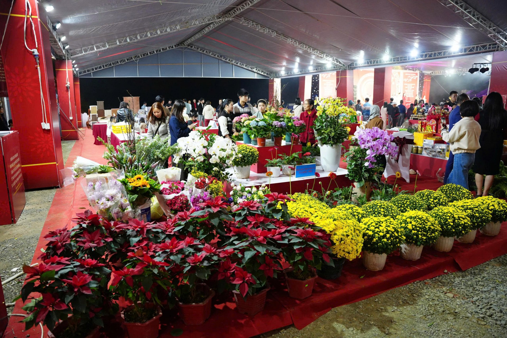 Xã Kiều Phú rực rỡ sắc xuân với Hội chợ Hoa Xuân Bính Ngọ 2026