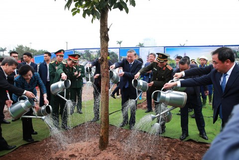 phat dong tet trong cay doi doi nho on bac ho xuan binh ngo 2026