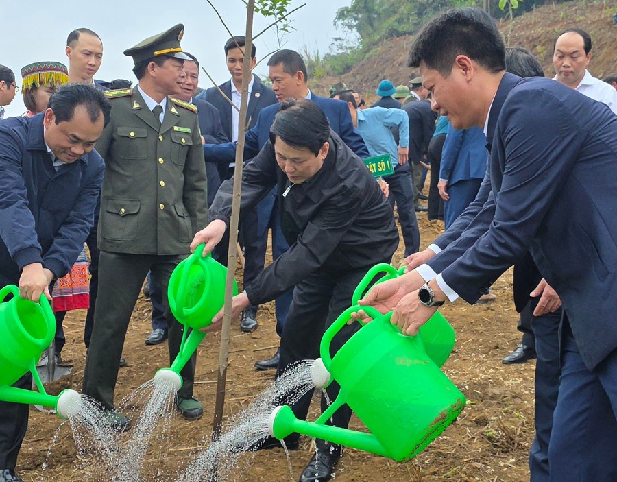 Chủ tịch nước Lương Cường cùng lãnh đạo tỉnh Lào Cai trồng cây lưu niệm tại Công viên Văn hóa Lào Cai.
