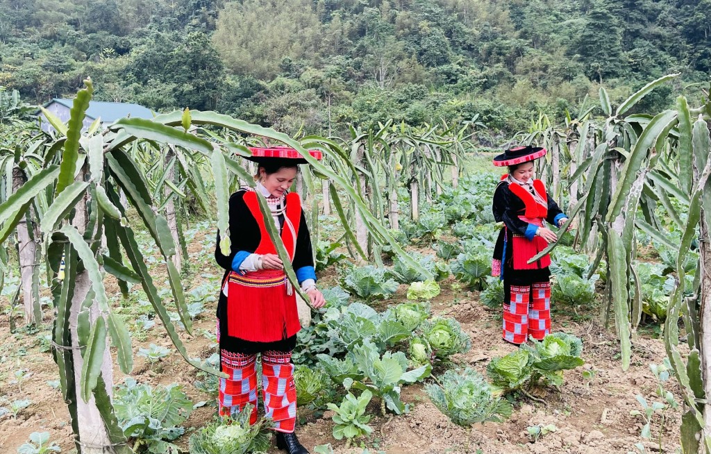 Nông nghiệp thông minh mở lối phát triển hàng hóa đặc hữu Nông nghiệp thông minh mở lối phát triển hàng hóa đặc hữu