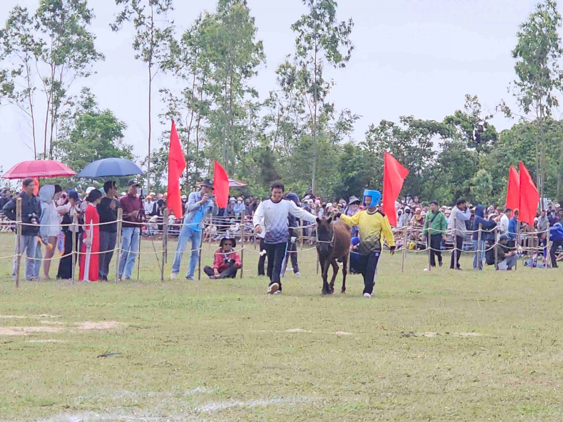 Sôi động Hội đua ngựa Gò Thì Thùng Xuân Bính Ngọ 2026 vang vó chiến mã, dậy khí thế đầu năm