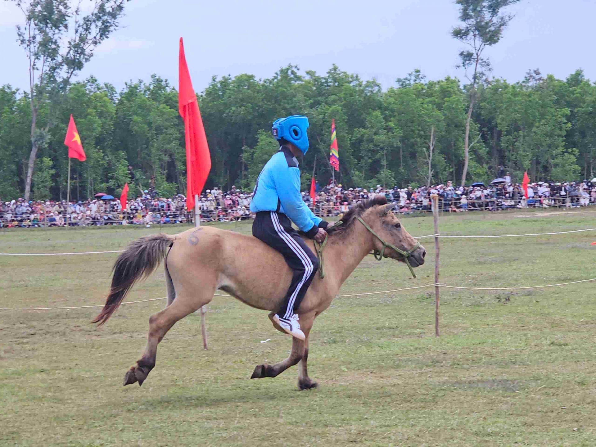 Sôi động Hội đua ngựa Gò Thì Thùng Xuân Bính Ngọ 2026 vang vó chiến mã, dậy khí thế đầu năm