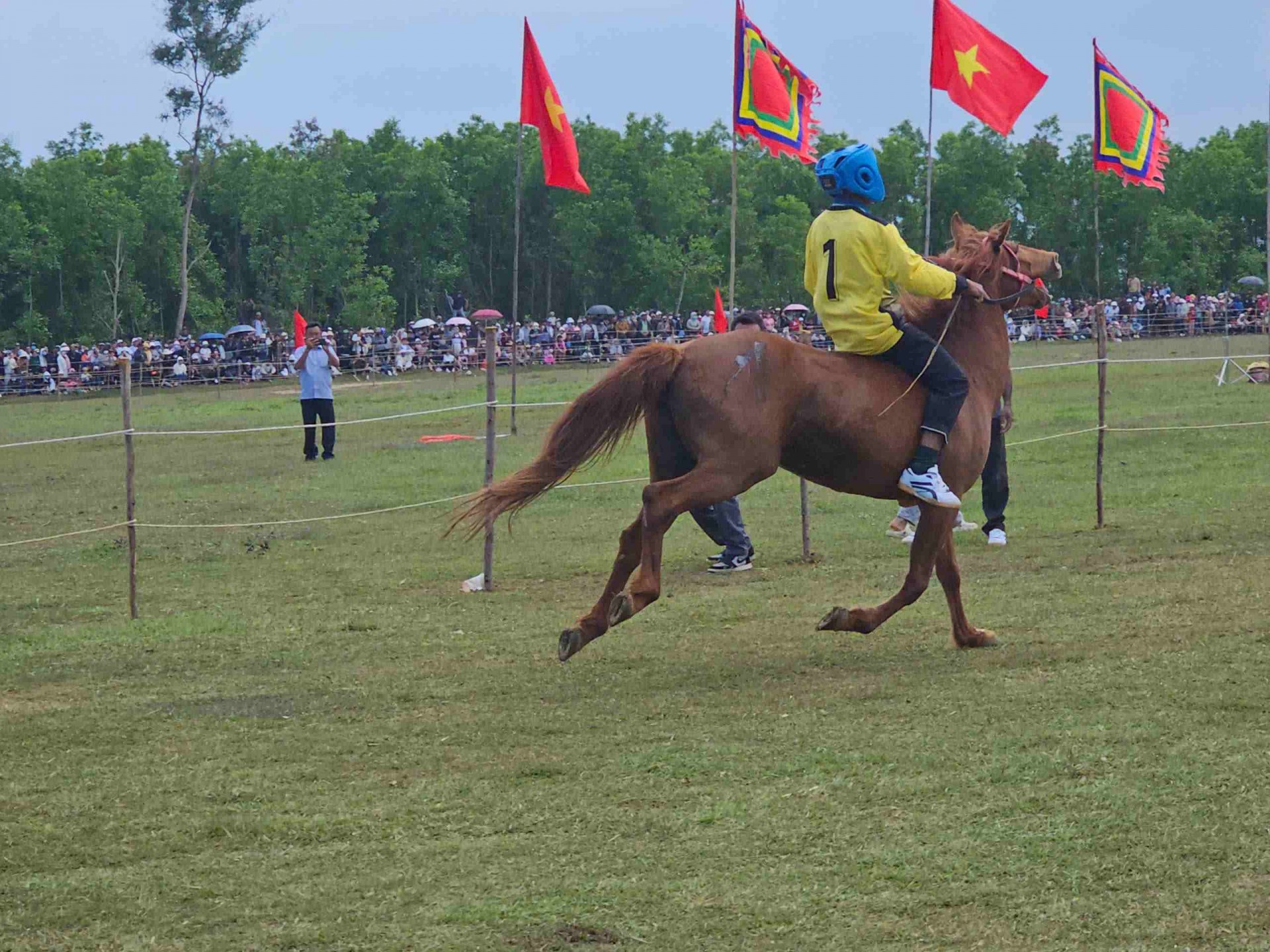 Sôi động Hội đua ngựa Gò Thì Thùng Xuân Bính Ngọ 2026 vang vó chiến mã, dậy khí thế đầu năm