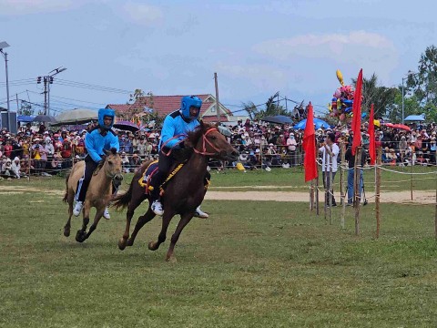 soi dong hoi dua ngua go thi thung xuan binh ngo 2026 vang vo chien ma day khi the dau nam