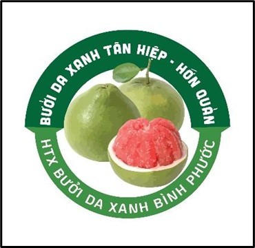 BƯỞI DA XANH TÂN HIỆP – HỚN QUẢN: GIỮ MÀU MẬT NGỌT TRÊN VÙNG ĐẤT ĐỎ