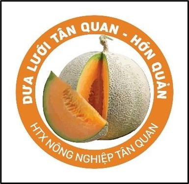 DƯA LƯỚI TÂN QUAN – HỚN QUẢN: HƯỚNG ĐI MỚI TỪ NÔNG NGHIỆP CÔNG NGHỆ CAO