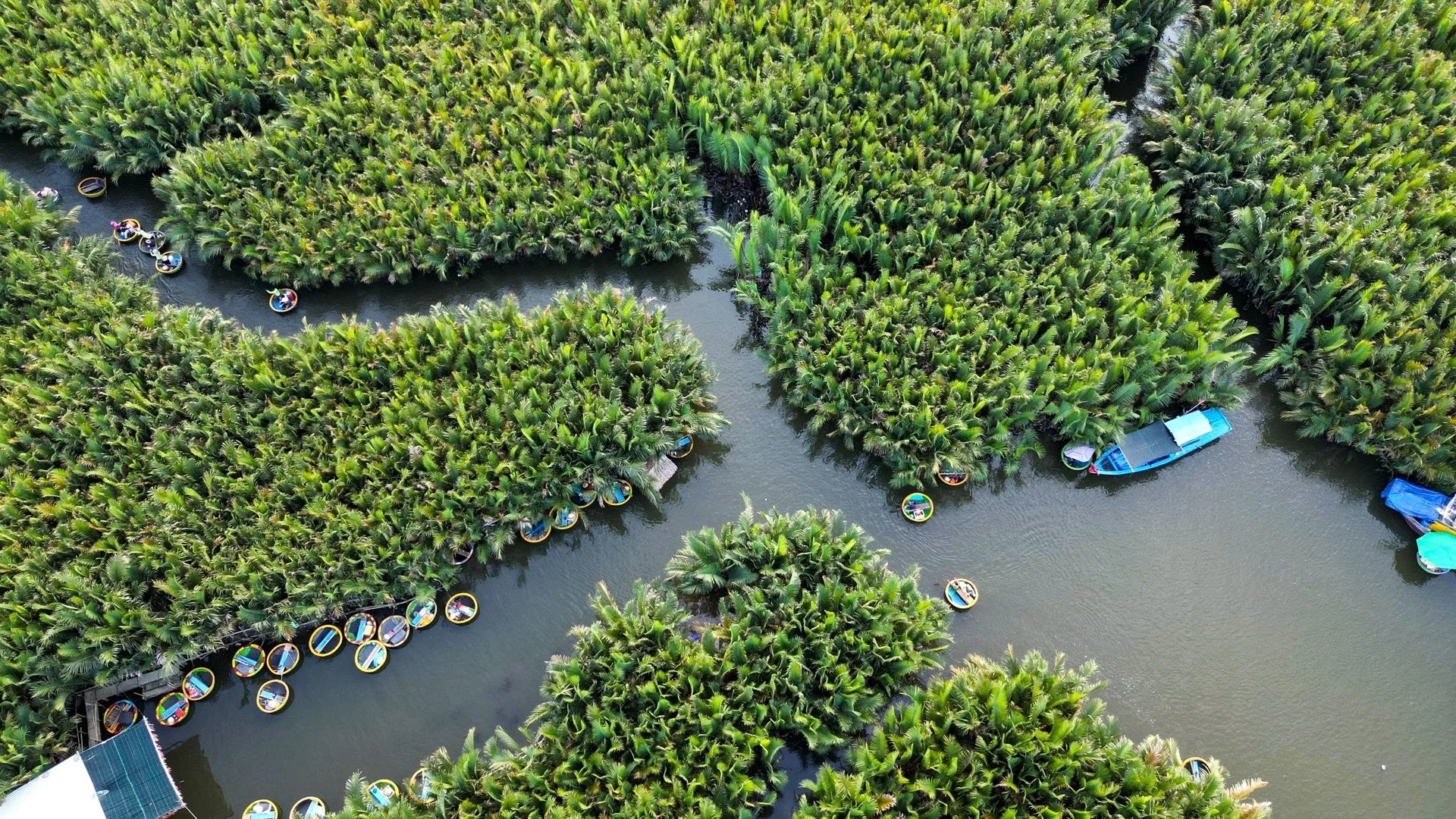 Ngắm nhìn vẻ đẹp của 