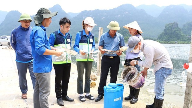 Tinh gọn đơn vị sự nghiệp khuyến nông, nâng cao hiệu quả vận hành chính quyền địa phương 2 cấp