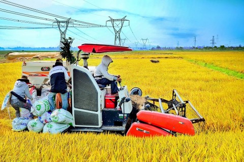 quang tri thuc day xay dung nong thon moi va giam ngheo ben vung giai doan moi