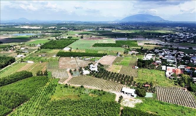 Nông nghiệp thúc đẩy tăng trưởng kinh tế ở Đồng Nai Nông nghiệp thúc đẩy tăng trưởng kinh tế ở Đồng Nai