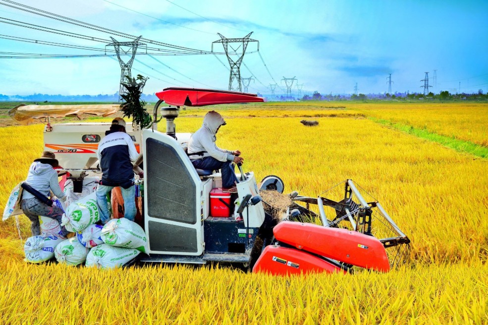 Quảng Trị thúc đẩy xây dựng nông thôn mới và giảm nghèo bền vững giai đoạn mới Quảng Trị thúc đẩy xây dựng nông thôn mới và giảm nghèo bền vững giai đoạn mới