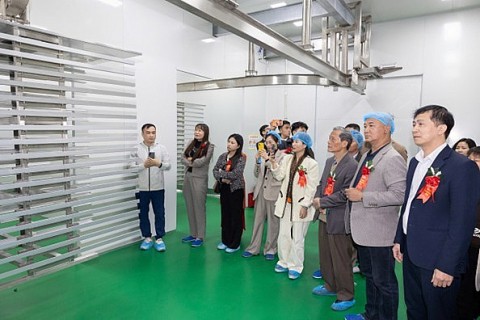 doanh nghiep nong san chuyen minh theo huong xanh va so hoa