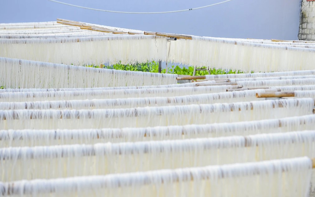 Làng miến gạo Thăng Long giữ nhịp nghề truyền thống giữa thời hiện đại Làng miến gạo Thăng Long giữ nhịp nghề truyền thống giữa thời hiện đại