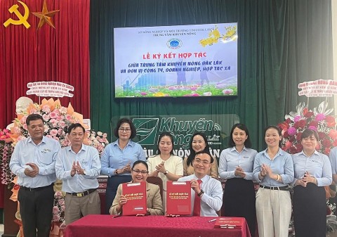 dak lak thuc day lien ket chuoi gia tri ca cao theo huong ben vung