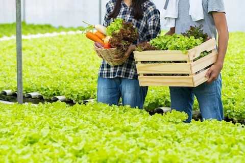 luong bang phat trien kinh te trang trai gia trai theo huong hang hoa ben vung