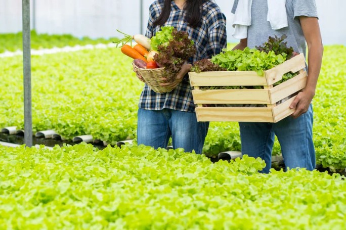 Lương Bằng phát triển kinh tế trang trại, gia trại theo hướng hàng hóa bền vững