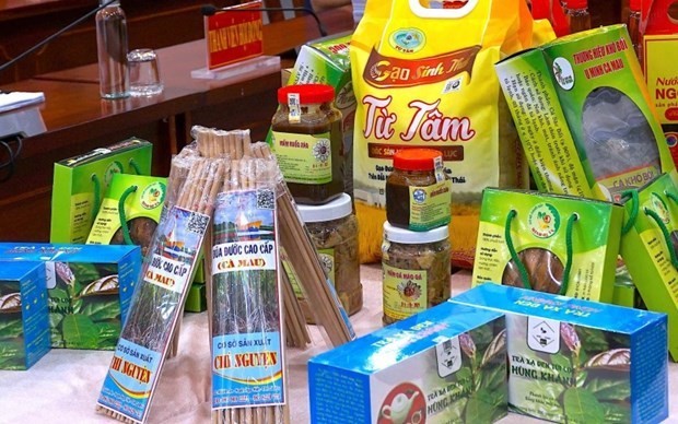 Cà Mau công nhận thêm 32 sản phẩm OCOP mở rộng bản đồ đặc sản đạt chuẩn