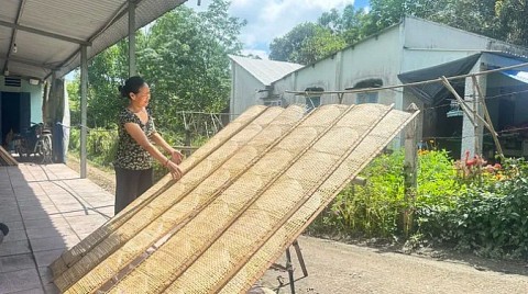 phu hoa dong chuyen minh de gin giu va phat trien nghe banh trang