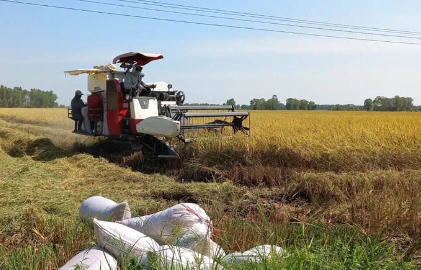 Phục hồi đất lúa nhờ vùi rơm rạ và hướng tới nông nghiệp phát thải thấp