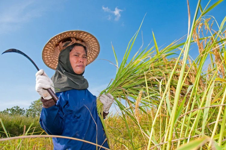Điểm tựa giúp nông dân vươn lên làm giàu