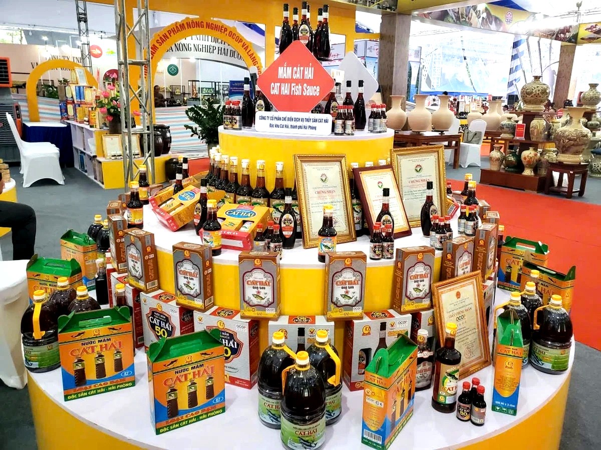 DNS Việt Nam tổng kết hoạt động năm 2025 và định hướng 2026