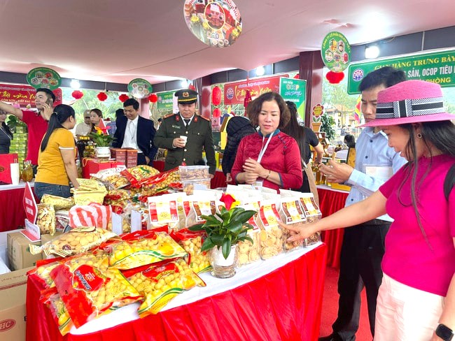 DNS Việt Nam tổng kết hoạt động năm 2025 và định hướng 2026