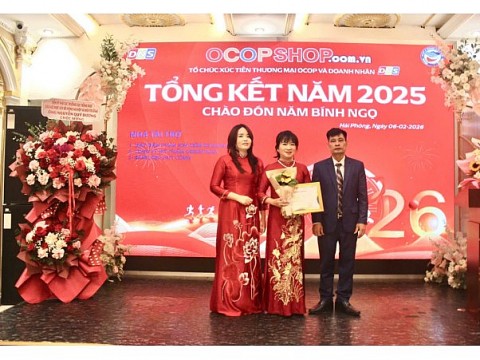 dns viet nam tong ket hoat dong nam 2025 va dinh huong 2026