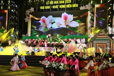 khai hoi hoa ban 2026 khat vong vuon minh tu mien cuc tay