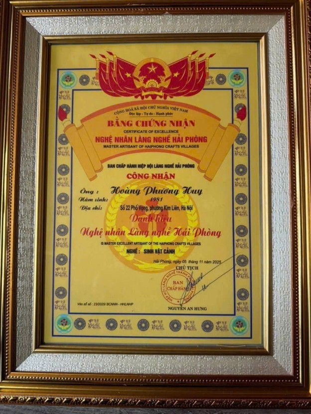 Nghệ nhân Hoàng Phương Huy và hành trình phát triển mai vàng Yên Tử tại Hải Phòng