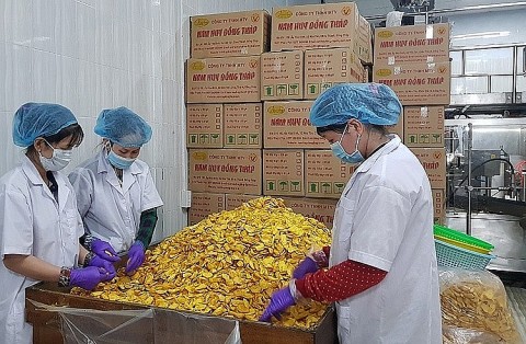 bo cong thuong thuc day thuc hien ke hoach khuyen cong quoc gia giai doan 2026 2030