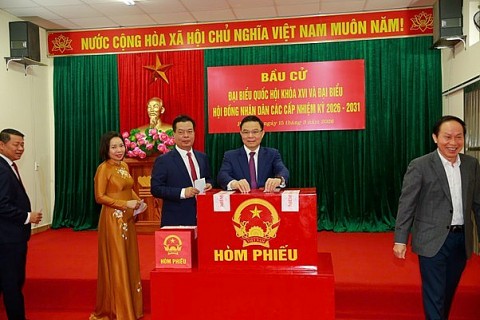 cu tri hai phong tham gia bau cu dai bieu quoc hoi khoa xvi va dai bieu hdnd cac cap nhiem ky 2026 2031