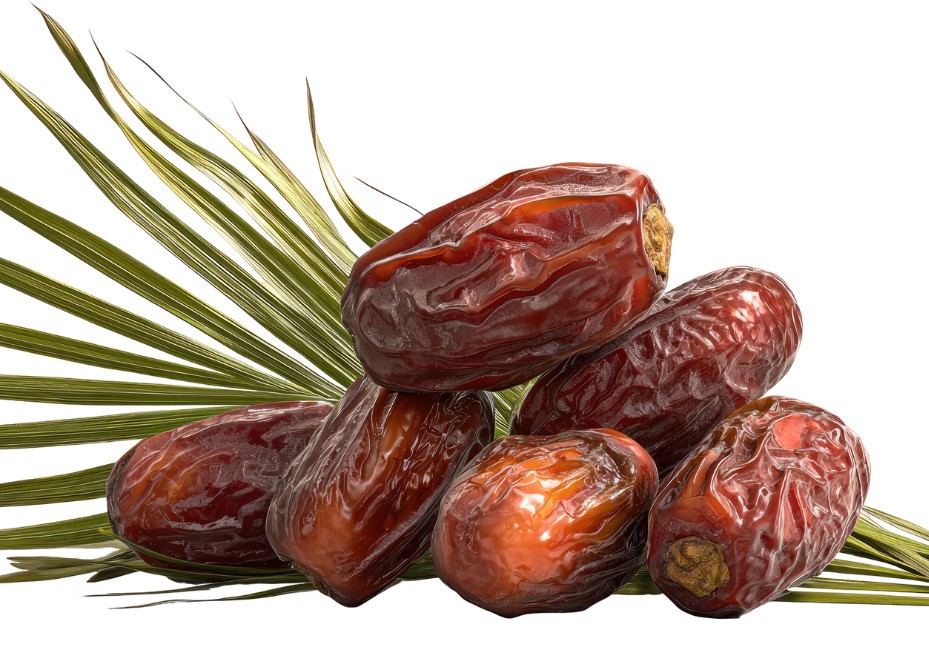 Mô hình khởi nghiệp nông nghiệp tuần hoàn trồng chà là