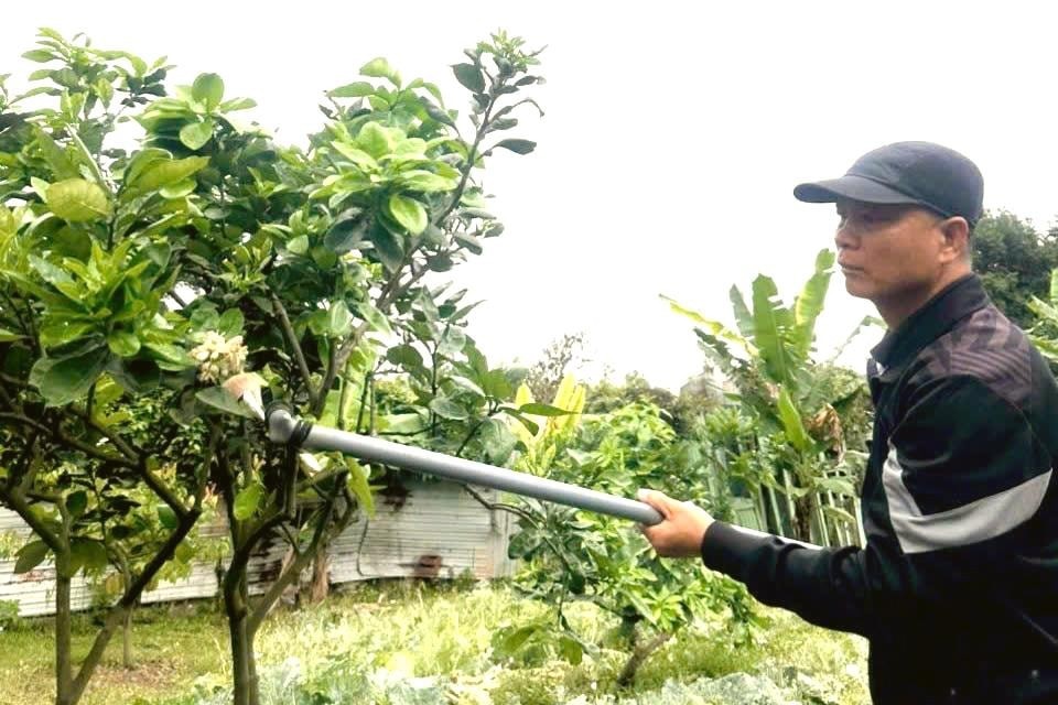 Cái khó nhất của nghề “se duyên” không phải kỹ thuật tay nghề, mà là biết chọn đúng thời điểm. Ảnh: KV