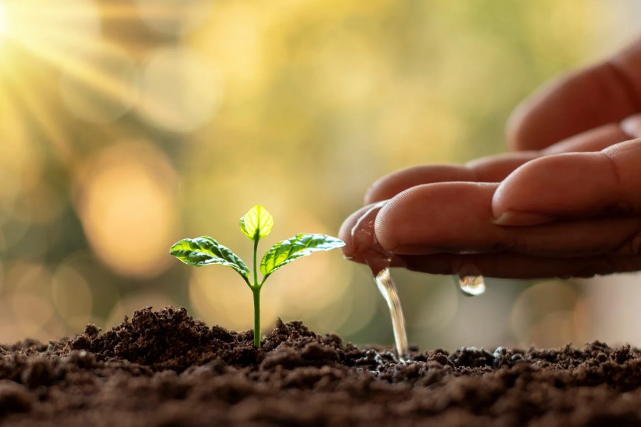 Bảo vệ nguồn nước trong kỷ nguyên biến đổi khí hậu