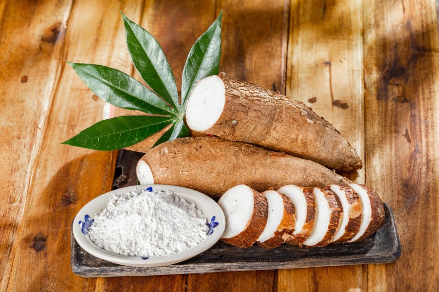 Tây Ninh: Nghề tinh bột mì tạo việc làm ổn định cho hàng chục nghìn lao động