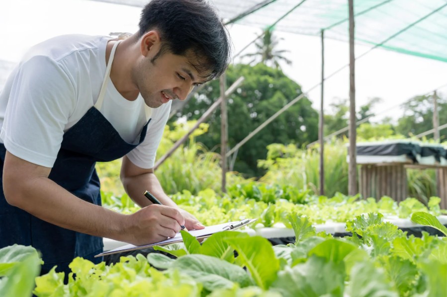 Đào tạo nghề cho lao động nông thôn mở hướng phát triển bền vững Đào tạo nghề cho lao động nông thôn mở hướng phát triển bền vững