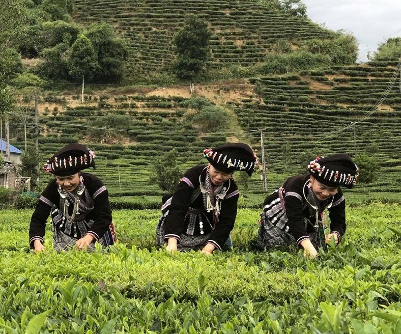 Nông thôn xã Mường Khoa ngày càng khởi sắc