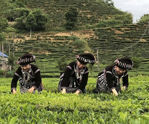 nong thon xa muong khoa ngay cang khoi sac