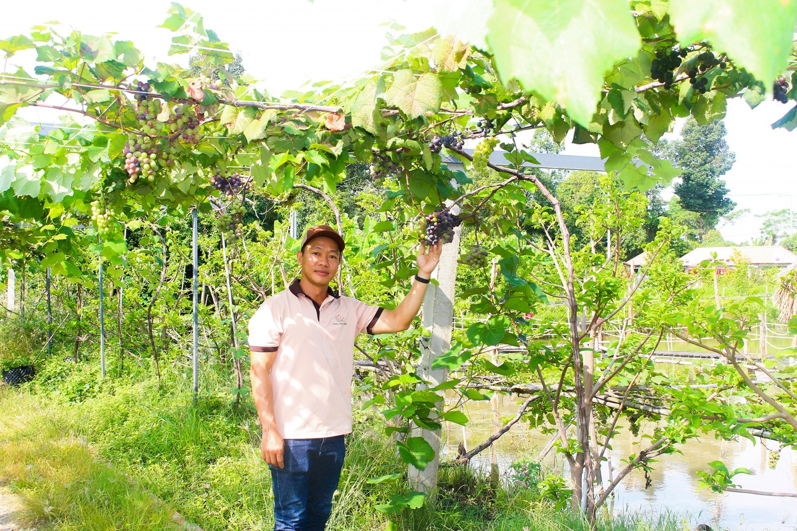 Từ ao cá nhỏ hiệu quả đến điểm đến xanh giữa lòng quê