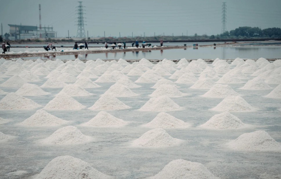 Khai mở giá trị nghề muối Cà Mau trong phát triển du lịch bền vững