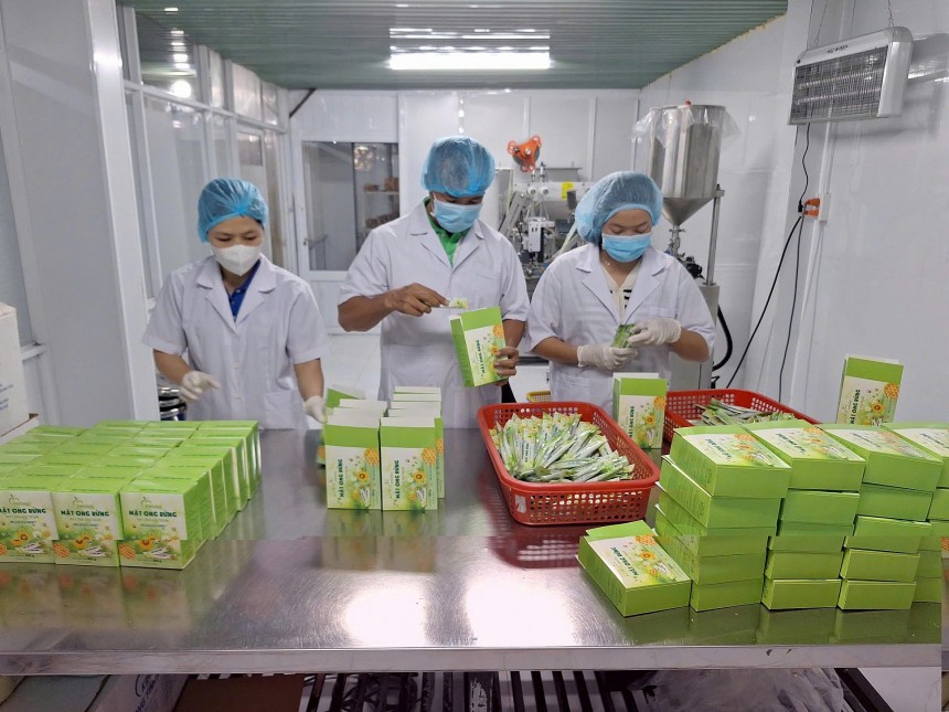 Với kinh nghiệm gần hai thập kỷ gắn bó với ngành sản xuất mật ong, doanh nghiệp luôn trăn trở muốn giúp người nuôi ong có đầu ra bền vững, khách hàng được chạm tay vào giọt mật nguyên bản nhất