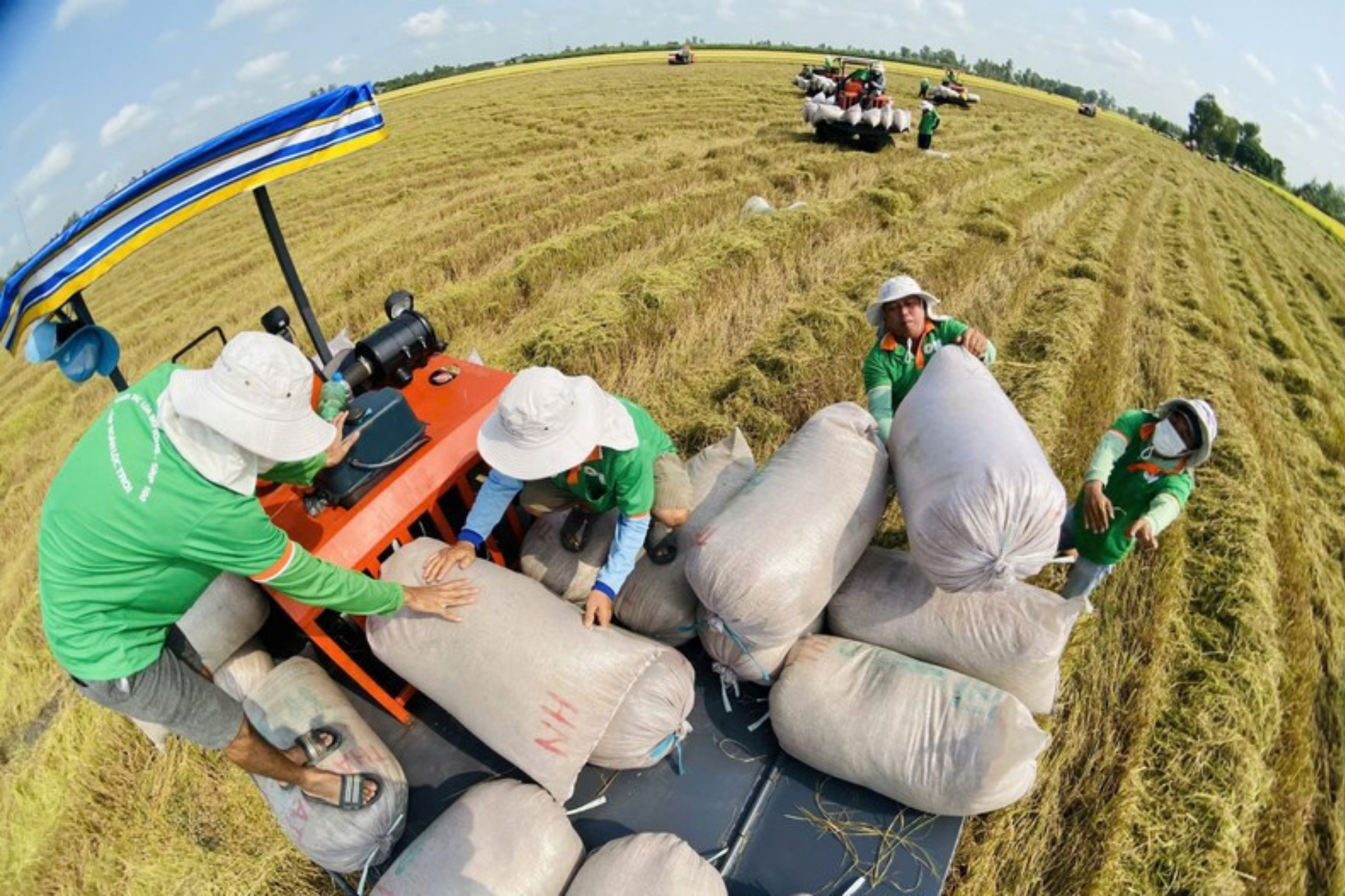 3 tháng đầu năm 2026, tổng kim ngạch xuất khẩu nông, lâm, thủy sản đạt 16,69 tỷ USD.