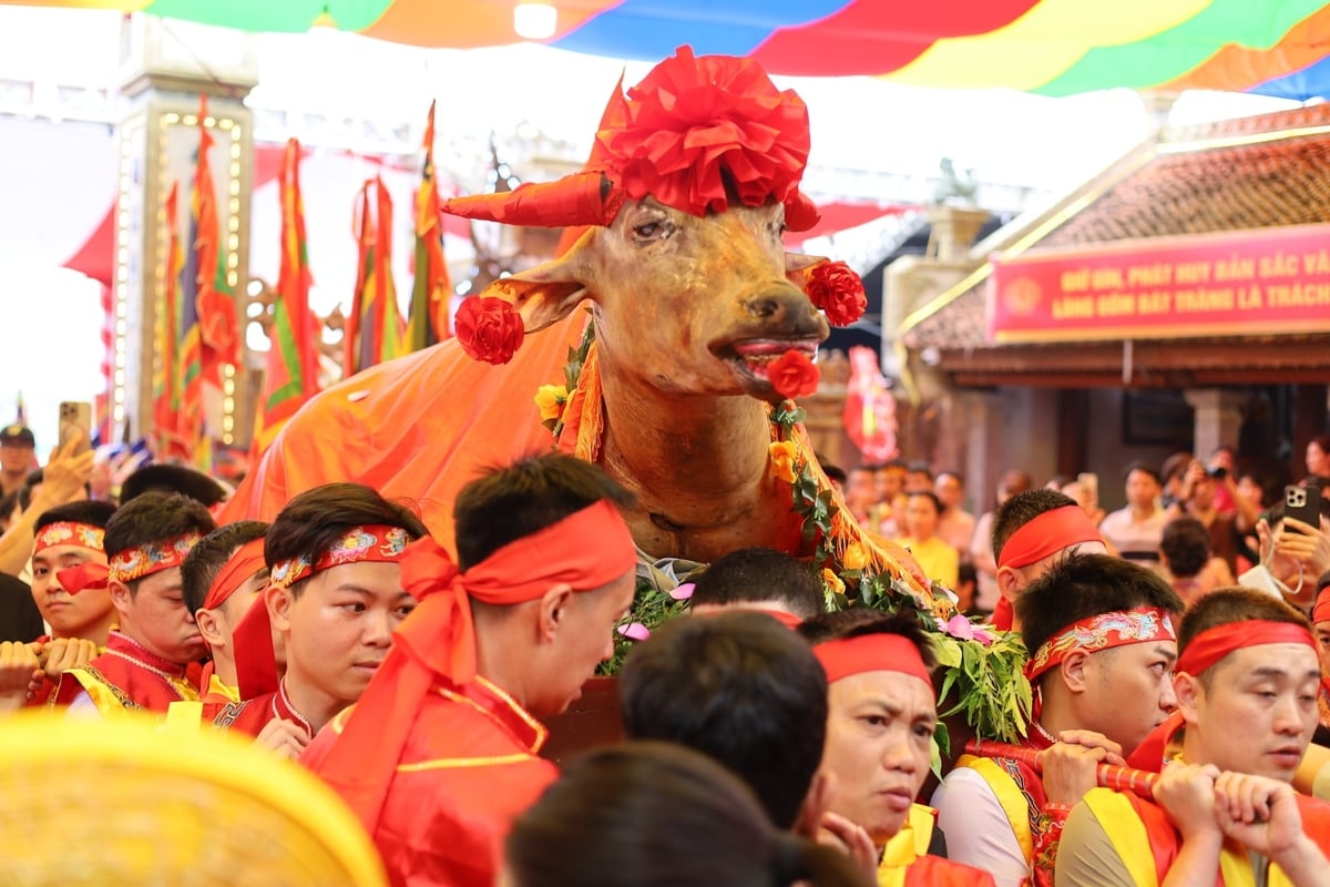 Lễ Tam sinh là nghi thức dâng lễ vật quan trọng, lễ vật tượng trưng cho lòng thành kính cao nhất dâng lên Thành hoàng làng. Ảnh: Thanh Ngọc
