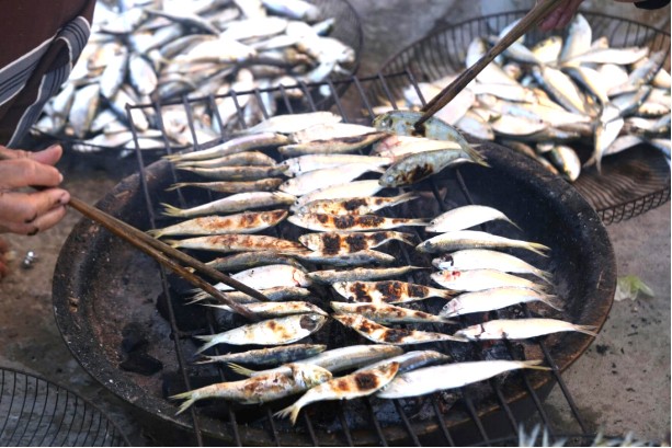 Cá trích được người dân nướng trên bếp than hồng
