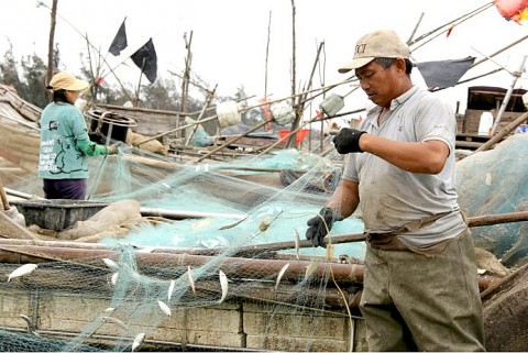 nghe an ca trich nuong hai chau thu hut du khach