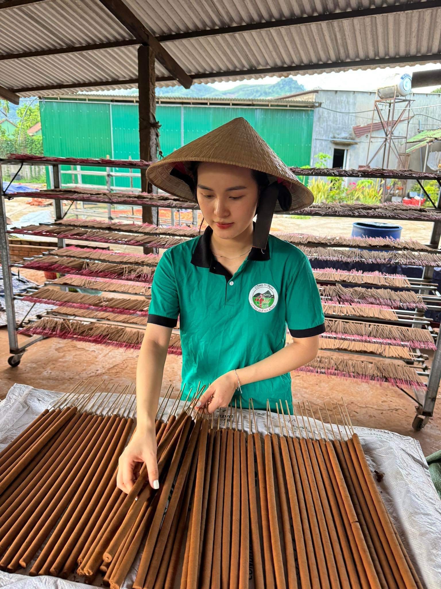 Hương quế Trà Bồng vươn xa đạt chuẩn OCOP 4 sao