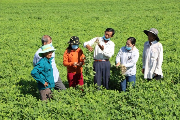 Trực tiếp hướng dẫn cho người dân vùng sâu, vùng xa tiếp cận với các phương pháp  canh tác mới hiệu quả hơn. (Ảnh:TL)