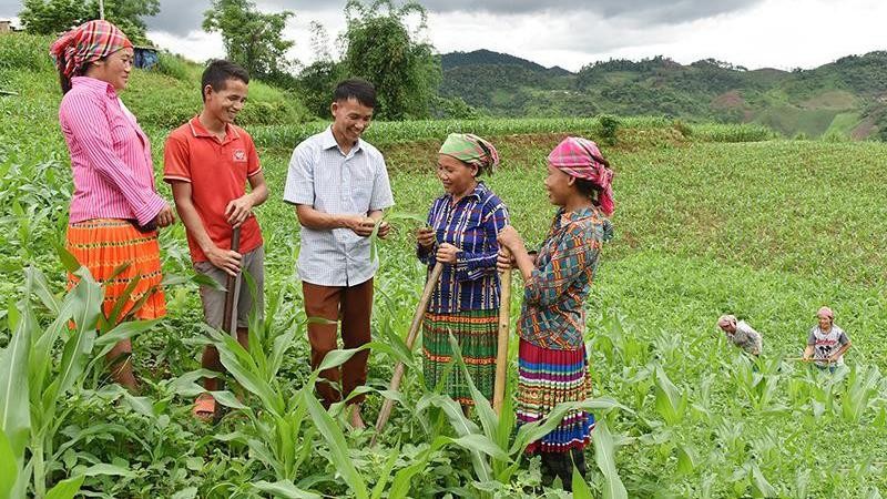 Hướng dẫn người dân bản Tà Han, xã Xuân Lạc, huyện Chợ Đồn, Bắc Kạn, trồng ngô  năng suất cao. (Ảnh: Trần Hải