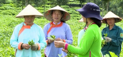 nong dan vung sau vung xa tiep can dao tao nghe thuc chat hieu qua