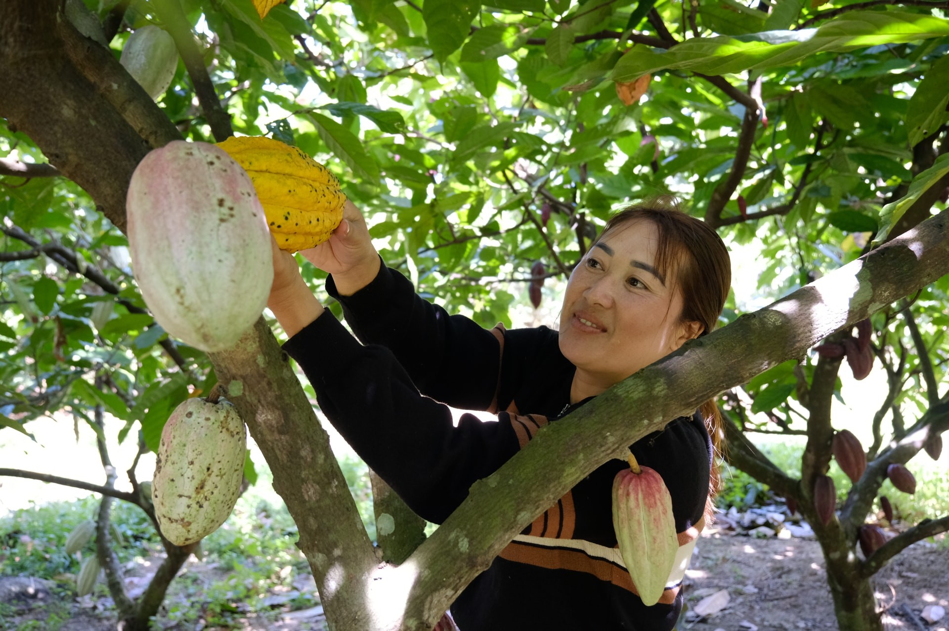 Phát huy nội lực cộng đồng Đa Nhinh 1 chung sức xây dựng nông thôn mới